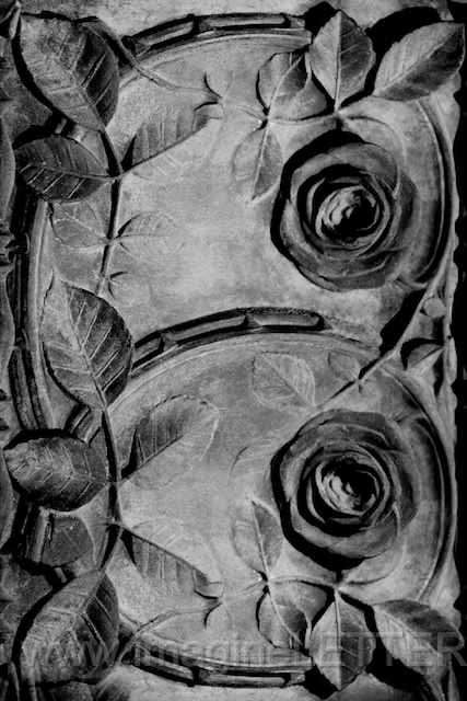 Wall_Art_Alphabet_Photography_Art_ 278.jpg